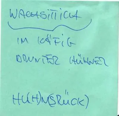 Wachsittich