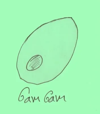 Gamgam