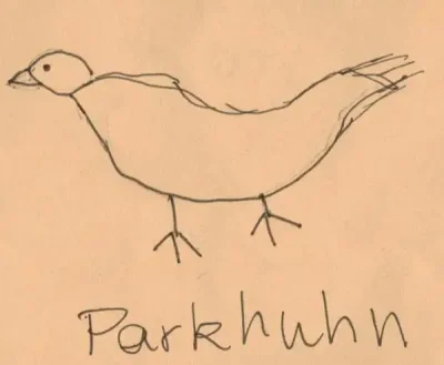 parkhuhn