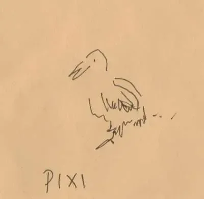 pixi