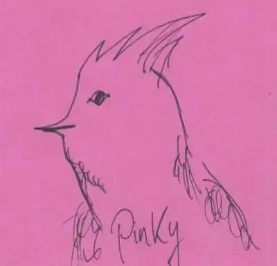 Pinky