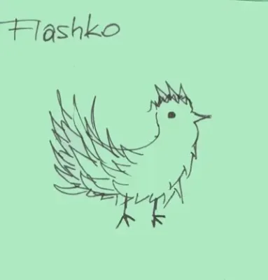 Flashko