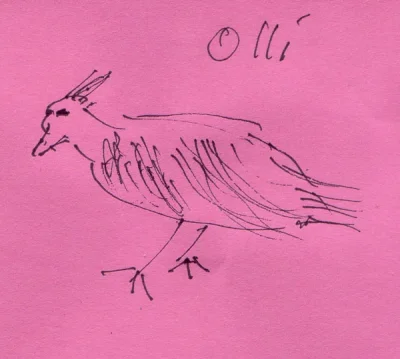 Olli