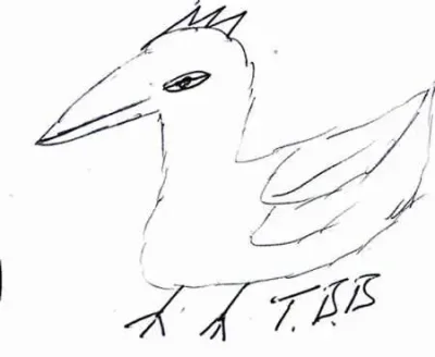Tbbhuhn