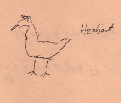 Herberthuhn