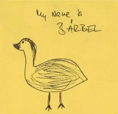 Baerbel