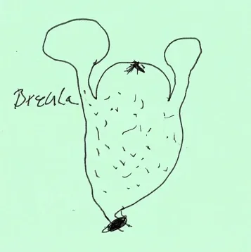 Breuler
