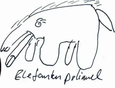 Elefantenpimmel