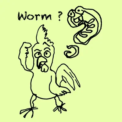 Chickenworm