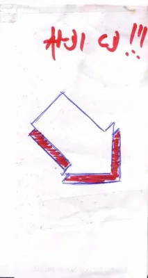 Pfeilhuhn