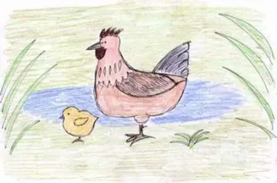 Loeschteichhuhn