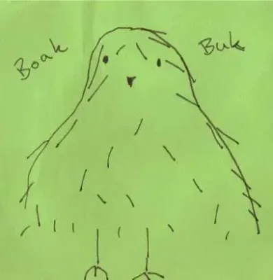 Boakbuk