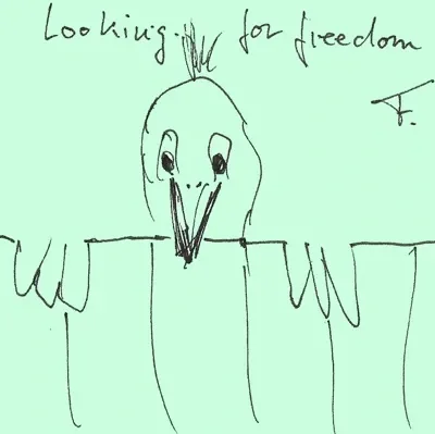 Looking for Freedom