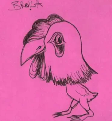 Broila