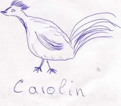 Carolin
