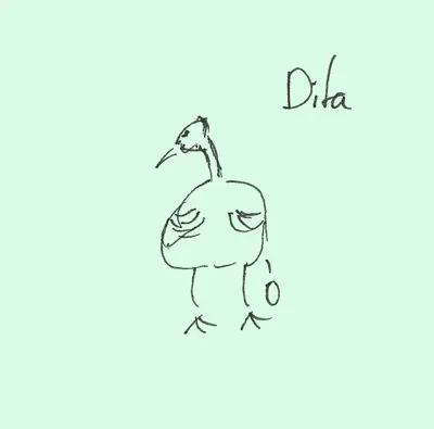 DJ's Kon.Faber Dita