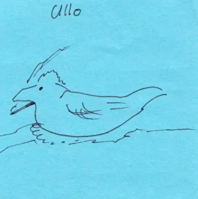 Ullo