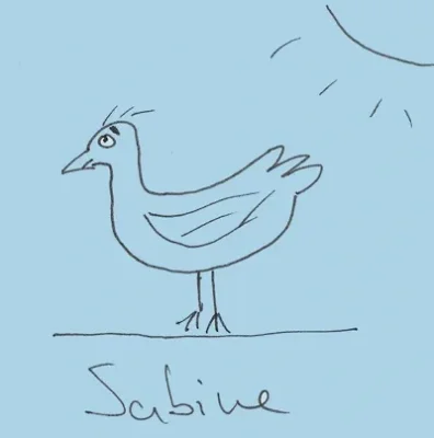 Sabine