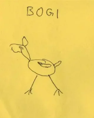 bogi
