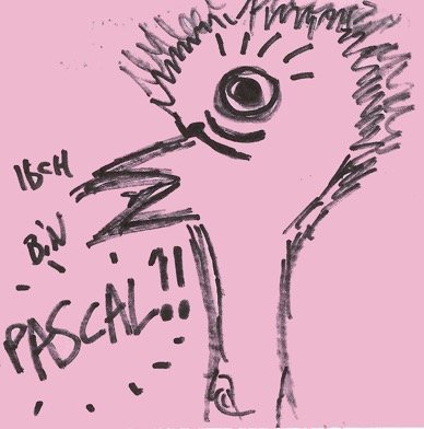 Pascal