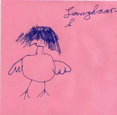 Langhaarhuhn