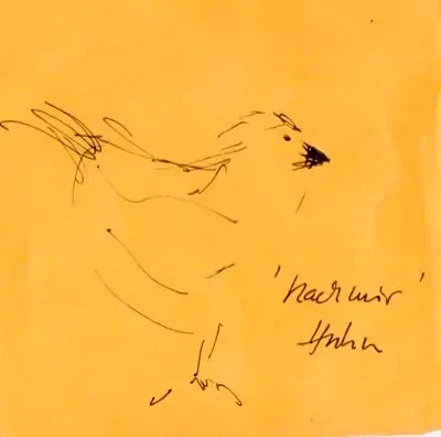 Nachmirhuhn
