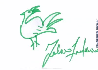 Fabioshuhn1