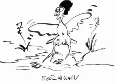 Moorhuhn