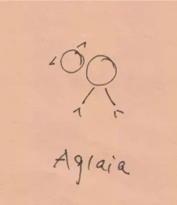 Aglaia