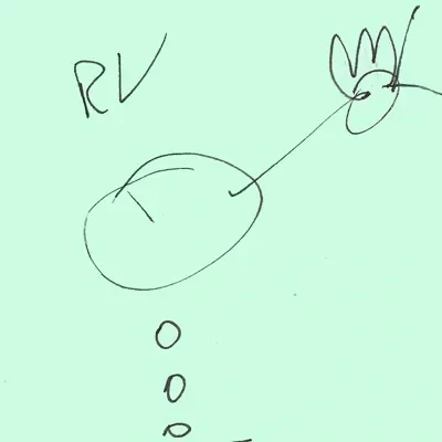Ricardo Villalobos Chicken