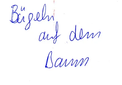 Buegelnaufdembaum