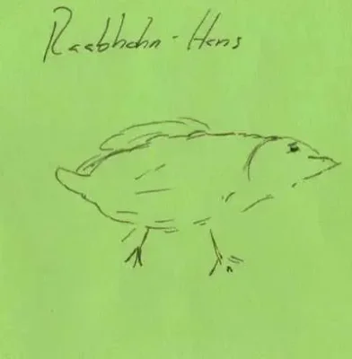 Raabhahn