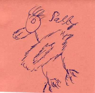Sallyhuhn