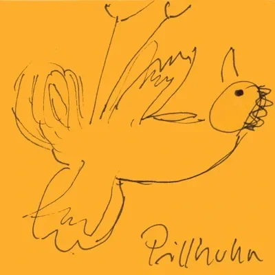 Pillhuhn