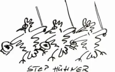Stepphuehner