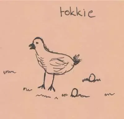 Tokkie