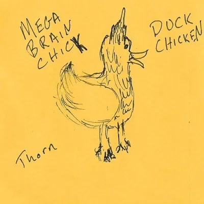 Duckchicken