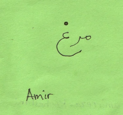Amirchicken