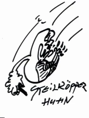 Steilkoepperhuhn