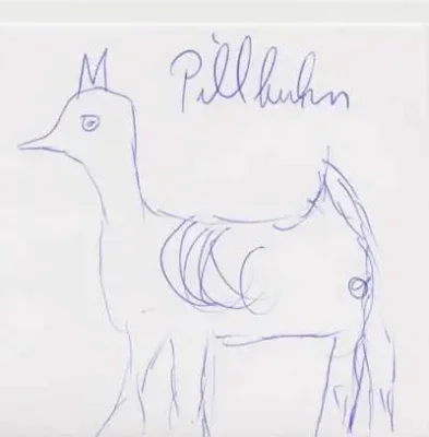 pillhuhn