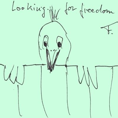 Looking For Freedom